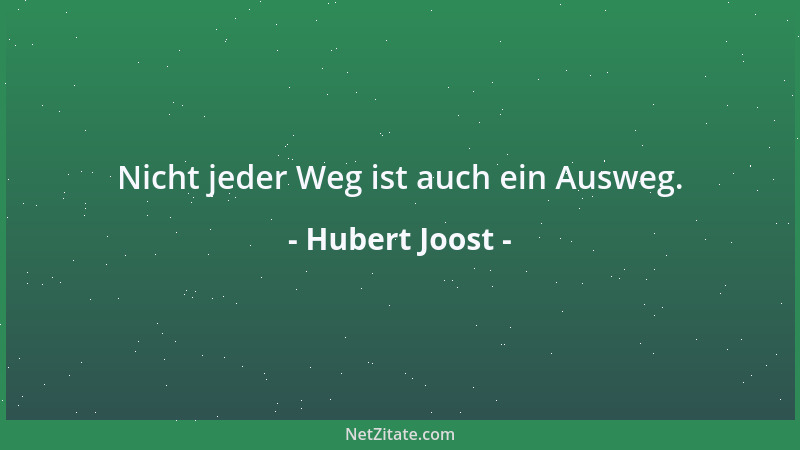 Hubert Joost - Nicht jeder Weg ist auch ein Ausweg....