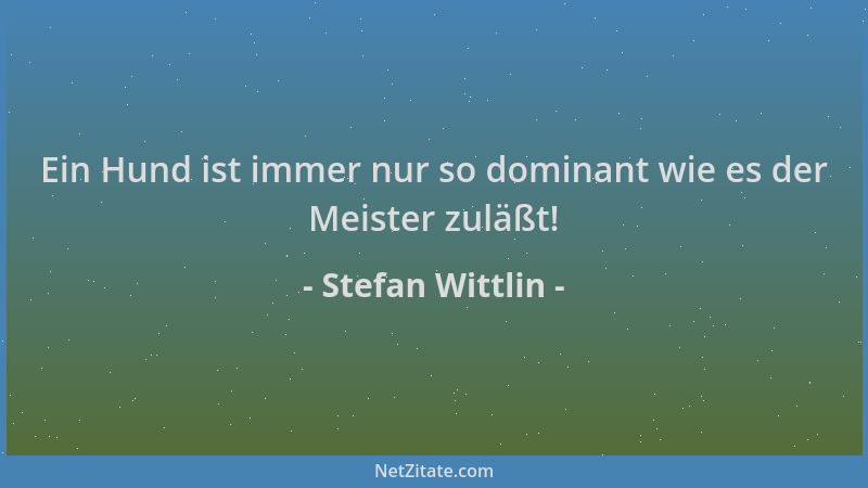 Stefan Wittlin - Ein Hund ist immer nur so dominant wie es der Meister zuläßt!...