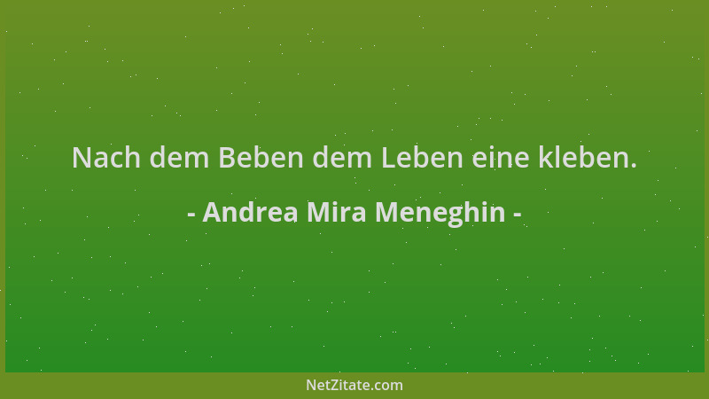 Andrea Mira Meneghin - Nach dem Beben dem Leben eine kleben....