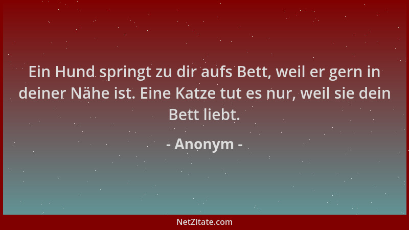 Anonym - Ein Hund springt zu dir aufs Bett, weil er gern in deiner Nähe ist. Eine Katze tut es nur, weil sie dein Bett lieb...