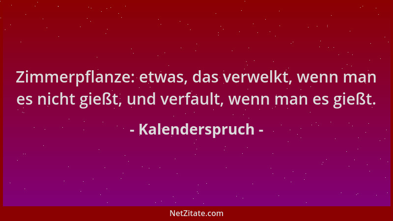 Kalenderspruch - Zimmerpflanze: etwas, das verwelkt, wenn man es nicht gießt, und verfault, wenn man es gießt....