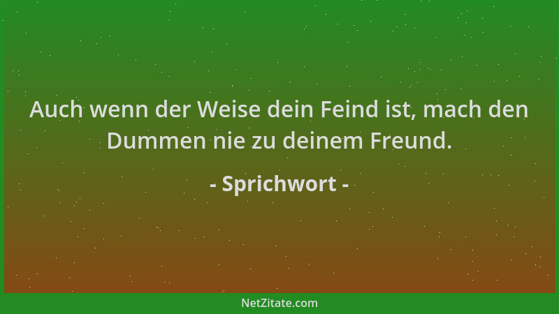 Sprichwort - Auch wenn der Weise dein Feind ist, mach den Dummen nie zu deinem Freund....