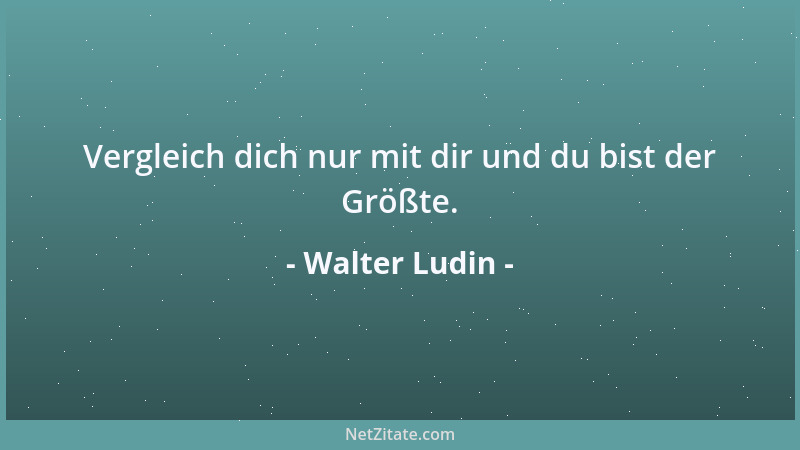 Walter Ludin - Nichts ist so schlimm, dass es nicht besser werden könnte - oder noch schlimmer....