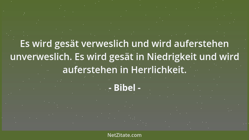 Bibel - Es wird gesät verweslich und wird auferstehen unverweslich. Es wird gesät in Niedrigkeit und wird auferstehen in He...