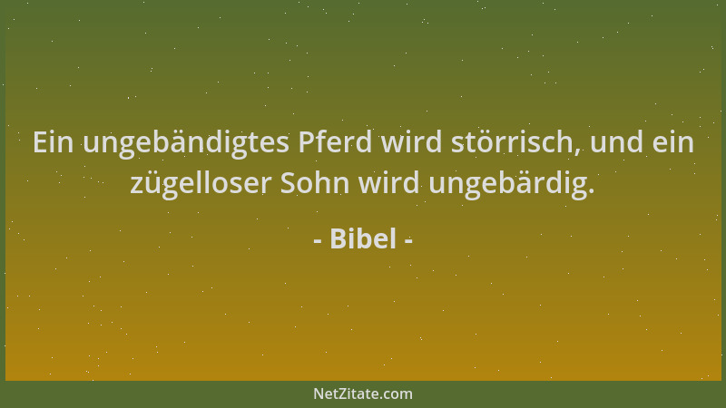 Bibel - Ein ungebändigtes Pferd wird störrisch, und ein zügelloser Sohn wird ungebärdig....
