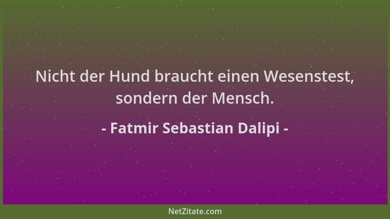 Fatmir Sebastian Dalipi - Nicht der Hund braucht einen Wesenstest, sondern der Mensch....