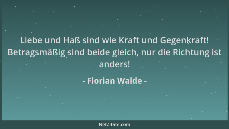 Florian Walde - Liebe und Haß sind wie Kraft und Gegenkraft! Betragsmäßig sind beide gleich, nur die Richtung ist anders!...