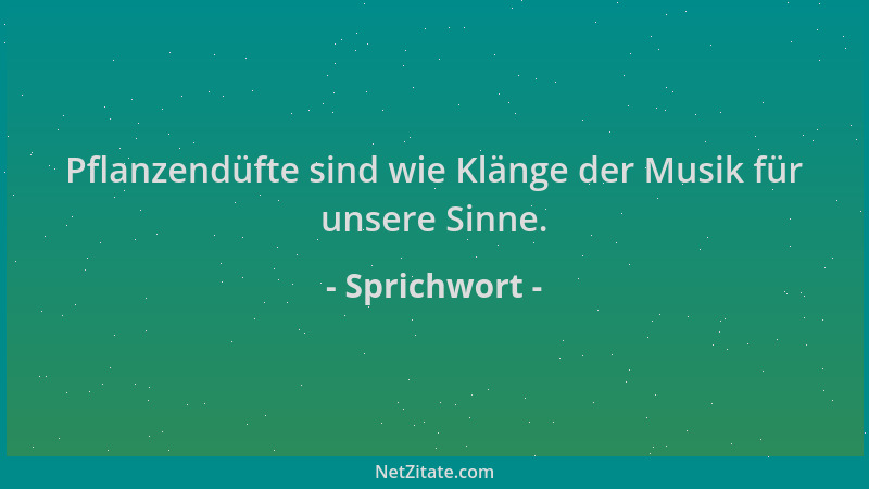 Sprichwort - Pflanzendüfte sind wie Klänge der Musik für unsere Sinne....