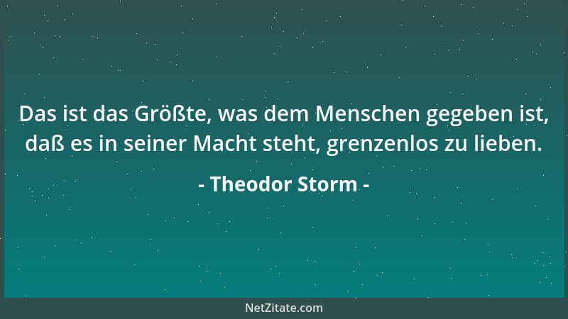 Theodor Storm - Bei dem Mangel näher Befreundeter kam dieser löbliche Trieb ihren jeweiligen Miethern zu Gute, und auch ich...