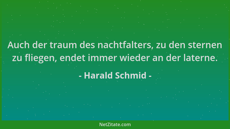 Harald Schmid - Auch der traum des nachtfalters, zu den sternen zu fliegen, endet immer wieder an der laterne....