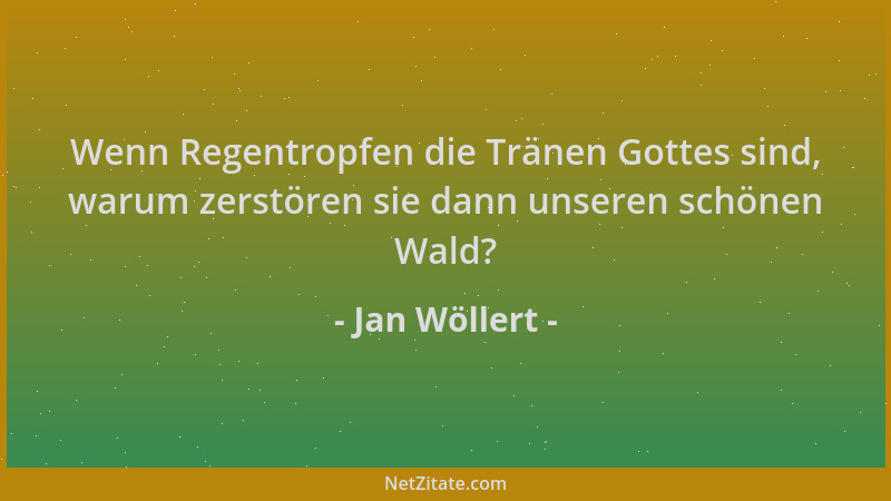Jan Wöllert - Wenn Regentropfen die Tränen Gottes sind, warum zerstören sie dann unseren schönen Wald?...