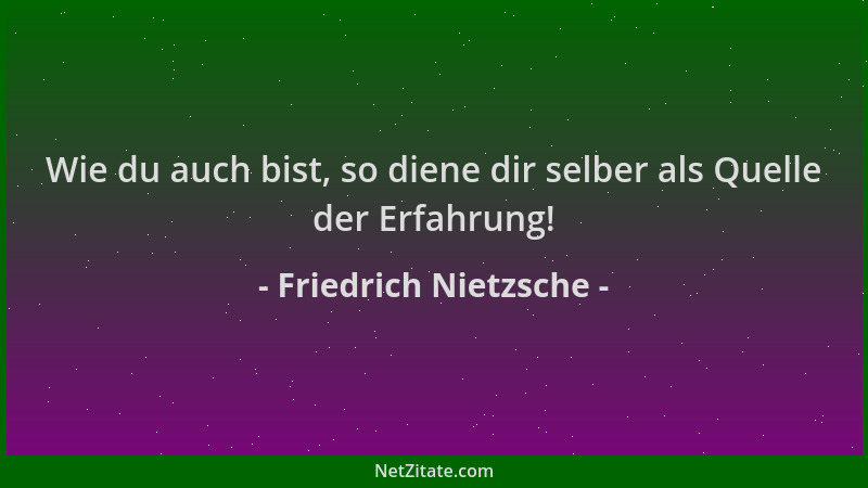 Friedrich Nietzsche - Wie du auch bist, so diene dir selber als Quelle der Erfahrung!...