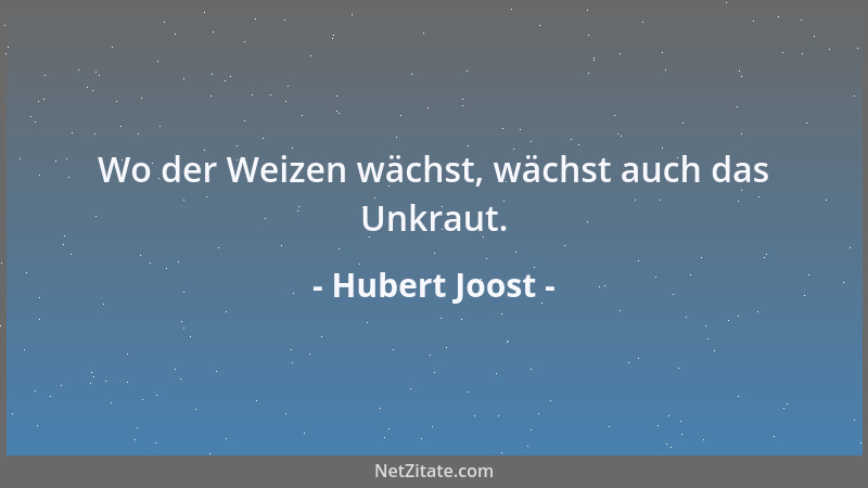 Hubert Joost - Wo der Weizen wächst, wächst auch das Unkraut....
