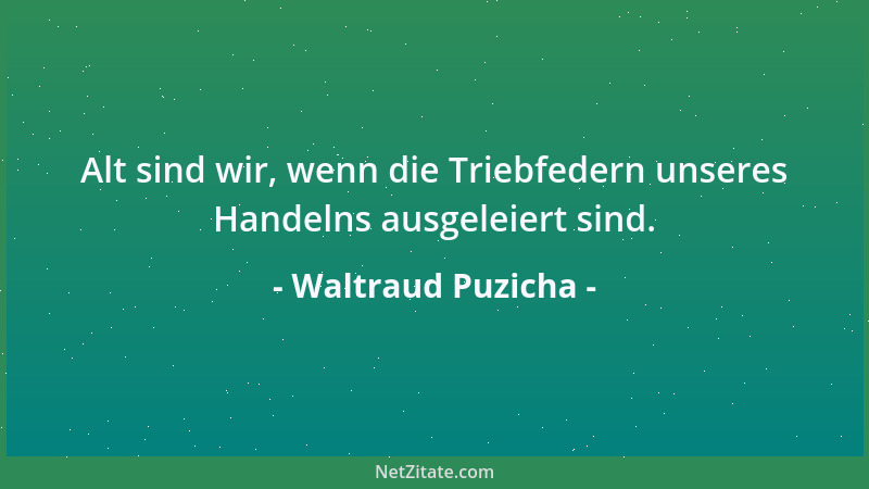 Waltraud Puzicha - Alt sind wir, wenn die Triebfedern unseres Handelns ausgeleiert sind....