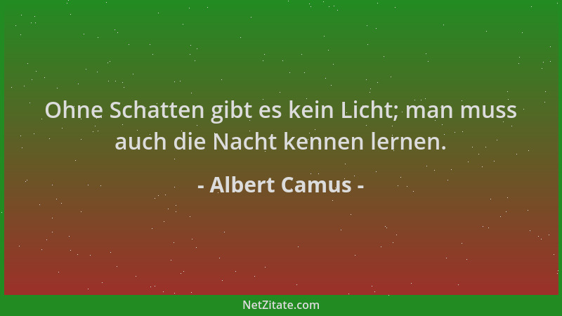 Albert Camus - Ohne Schatten gibt es kein Licht; man muss auch die Nacht kennen lernen....