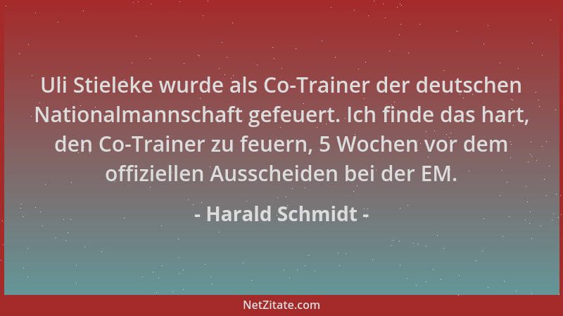 Harald Schmidt - Uli Stieleke wurde als Co-Trainer der deutschen Nationalmannschaft gefeuert. Ich finde das hart, den Co-Tr...