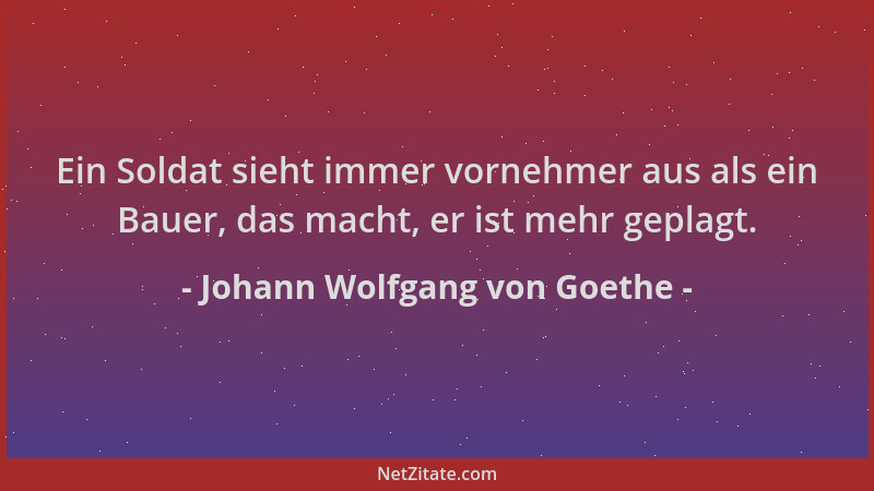 Johann Wolfgang von Goethe - Ein Soldat sieht immer vornehmer aus als ein Bauer, das macht, er ist mehr geplagt....