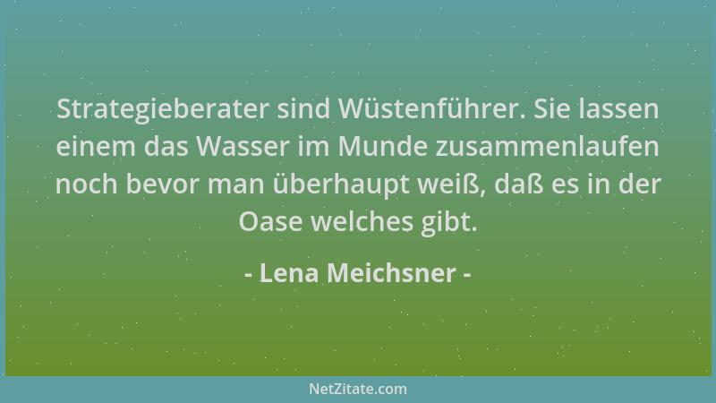 Lena Meichsner - Strategieberater sind Wüstenführer. Sie lassen einem das Wasser im Munde zusammenlaufen noch bevor man übe...