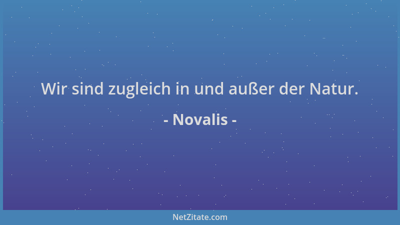 Novalis - Wir sind zugleich in und außer der Natur....