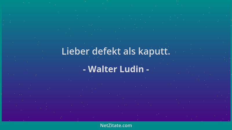 Walter Ludin - Lieber defekt als kaputt....