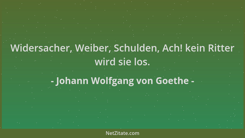 Johann Wolfgang von Goethe - Widersacher, Weiber, Schulden, Ach! kein Ritter wird sie los....