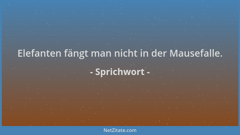 Sprichwort - Elefanten fängt man nicht in der Mausefalle....