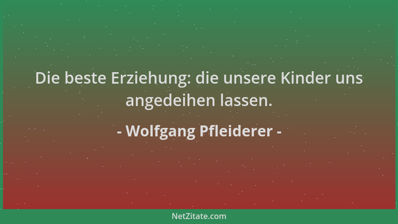 Wolfgang Pfleiderer - Die beste Erziehung: die unsere Kinder uns angedeihen lassen....