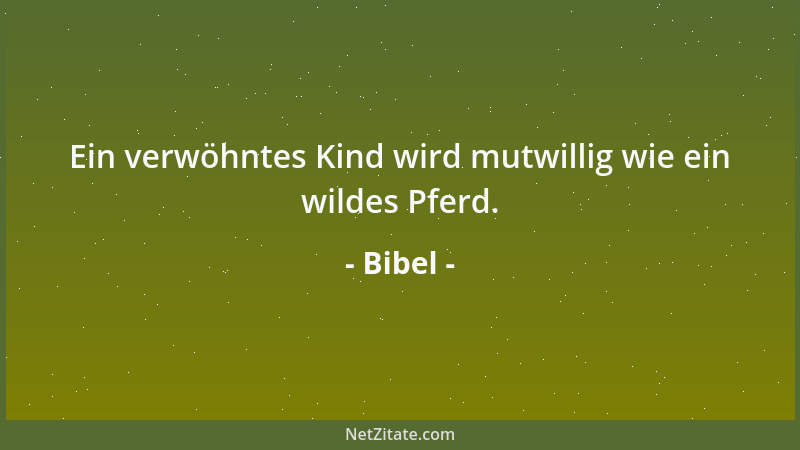 Bibel - Ein verwöhntes Kind wird mutwillig wie ein wildes Pferd....