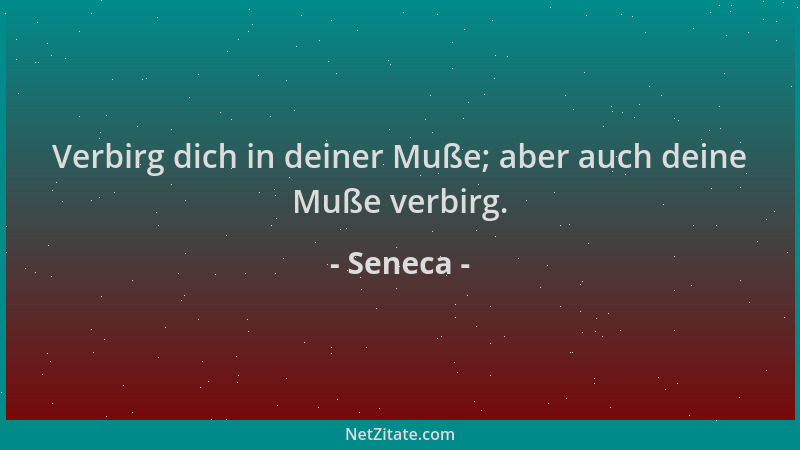 Seneca - Verbirg dich in deiner Muße; aber auch deine Muße verbirg....