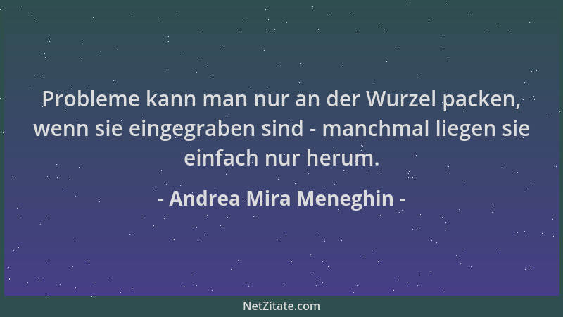 Andrea Mira Meneghin - Probleme kann man nur an der Wurzel packen, wenn sie eingegraben sind - manchmal liegen sie einfach...