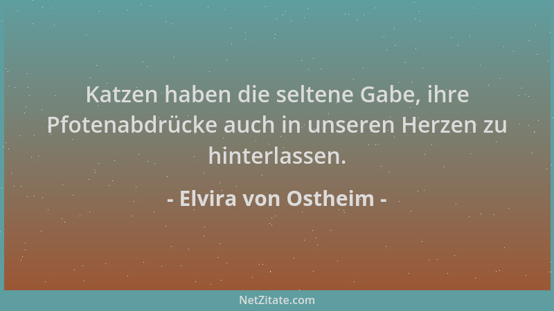 Elvira von Ostheim - Katzen haben die seltene Gabe, ihre Pfotenabdrücke auch in unseren Herzen zu hinterlassen....