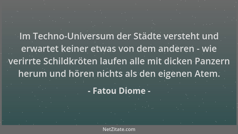 Fatou Diome - Im Techno-Universum der Städte versteht und erwartet keiner etwas von dem anderen - wie verirrte Schildkröten...