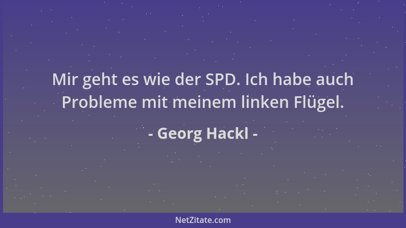 Georg Hackl - Mir geht es wie der SPD. Ich habe auch Probleme mit meinem linken Flügel....