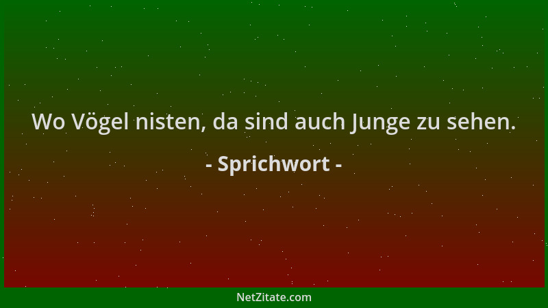 Sprichwort - Wo Vögel nisten, da sind auch Junge zu sehen....