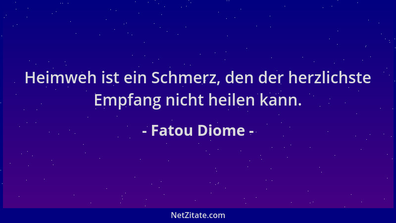 Fatou Diome - Heimweh ist ein Schmerz, den der herzlichste Empfang nicht heilen kann....
