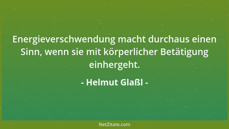 Helmut Glaßl - Energieverschwendung macht durchaus einen Sinn, wenn sie mit körperlicher Betätigung einhergeht....
