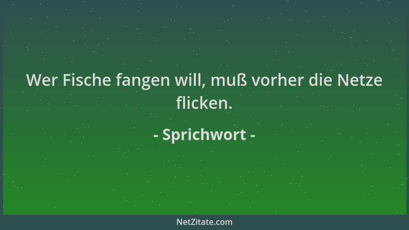 Sprichwort - Wer Fische fangen will, muß vorher die Netze flicken....