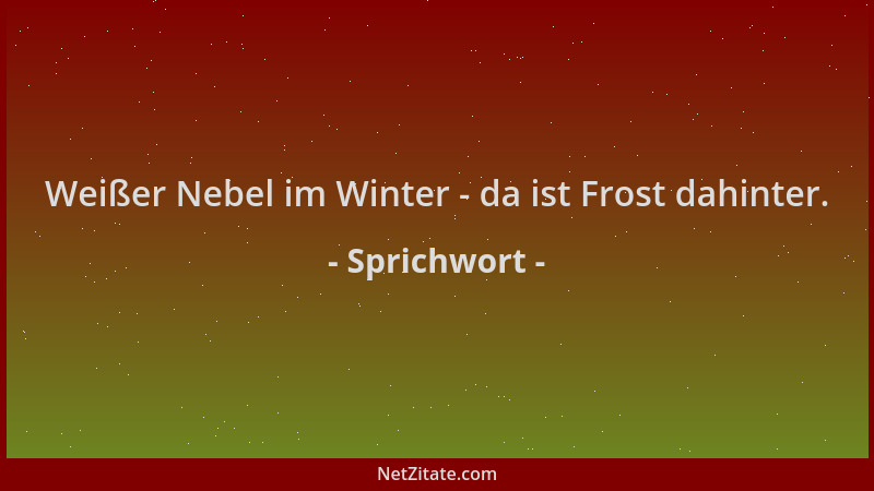 Sprichwort - Weißer Nebel im Winter - da ist Frost dahinter....