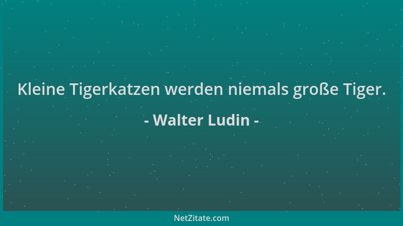 Walter Ludin - Kleine Tigerkatzen werden niemals große Tiger....