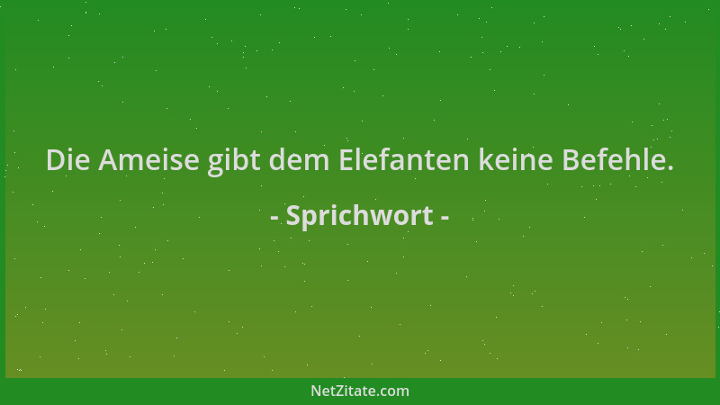 Sprichwort - Die Ameise gibt dem Elefanten keine Befehle....