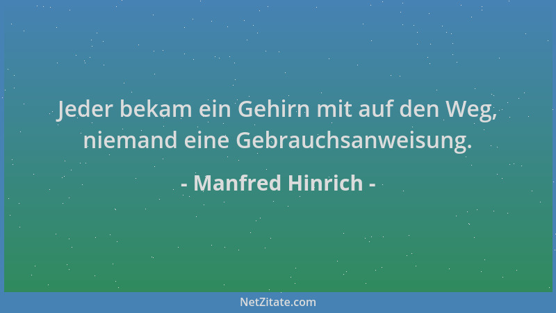 Manfred Hinrich - Jeder bekam ein Gehirn mit auf den Weg, niemand eine Gebrauchsanweisung....