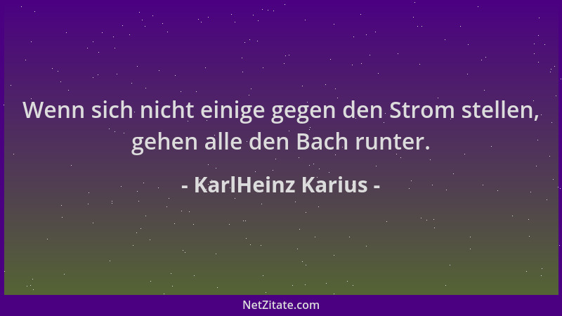 KarlHeinz Karius - Wenn sich nicht einige gegen den Strom stellen, gehen alle den Bach runter....