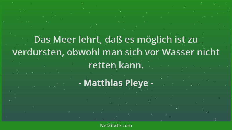 Matthias Pleye - Das Meer lehrt, daß es möglich ist zu verdursten, obwohl man sich vor Wasser nicht retten kann....