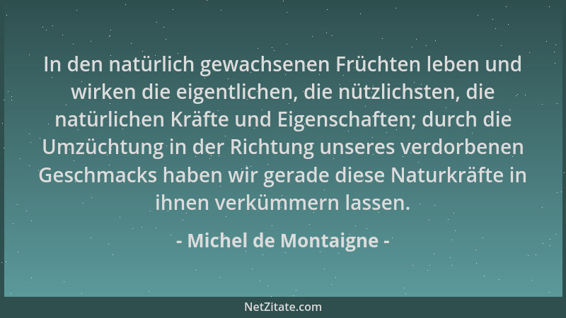 Michel de Montaigne - In den natürlich gewachsenen Früchten leben und wirken die eigentlichen, die nützlichsten, die natürl...