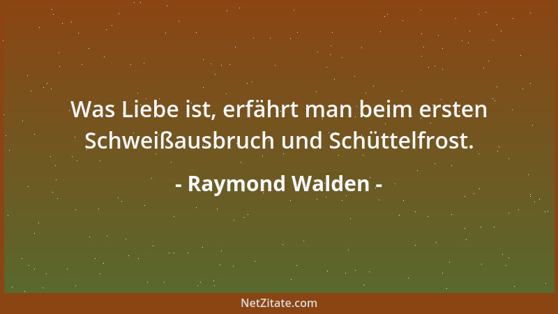 Raymond Walden - Was Liebe ist, erfährt man beim ersten Schweißausbruch und Schüttelfrost....