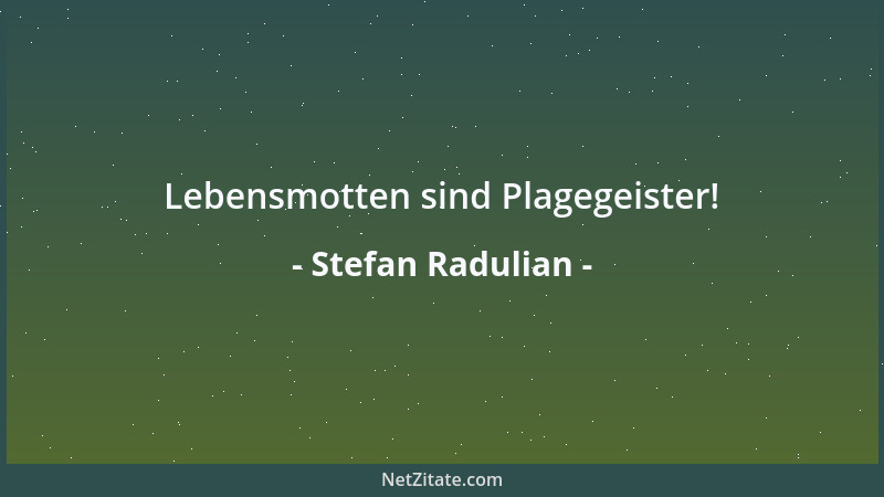 Stefan Radulian - Einsicht schafft Aussicht....