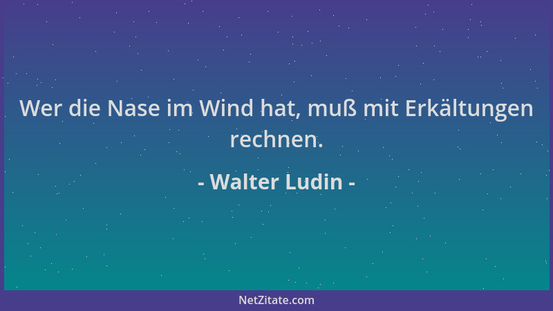 Walter Ludin - Wer die Nase im Wind hat, muß mit Erkältungen rechnen....