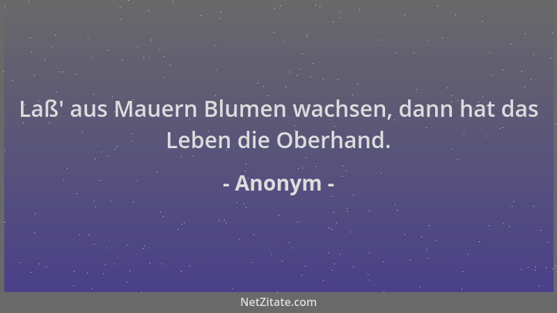 Anonym - Laß ' aus Mauern Blumen wachsen, dann hat das Leben die Oberhand....
