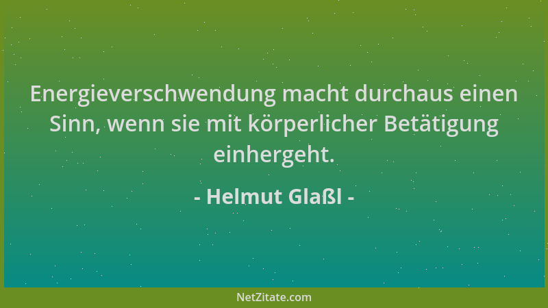 Helmut Glaßl - Energieverschwendung macht durchaus einen Sinn, wenn sie mit körperlicher Betätigung einhergeht....