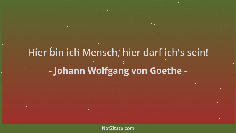 Johann Wolfgang von Goethe - Hier bin ich Mensch, hier darf ich 's sein!...